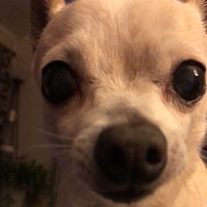 Meet your Posher, Caitlin